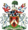 Heraldic Shield
